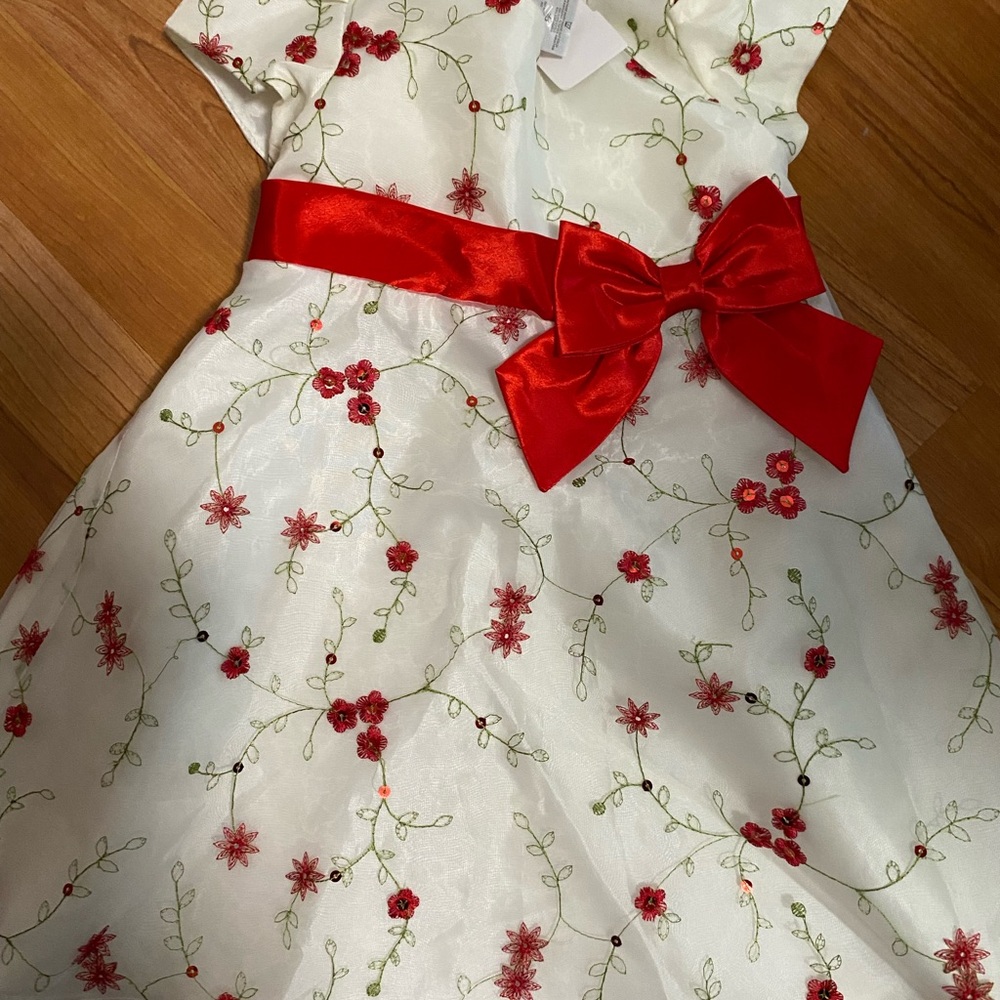 Red Beautiful Great Condition Floral Girls Dress Size 24 Months - Picture 4 of 7
